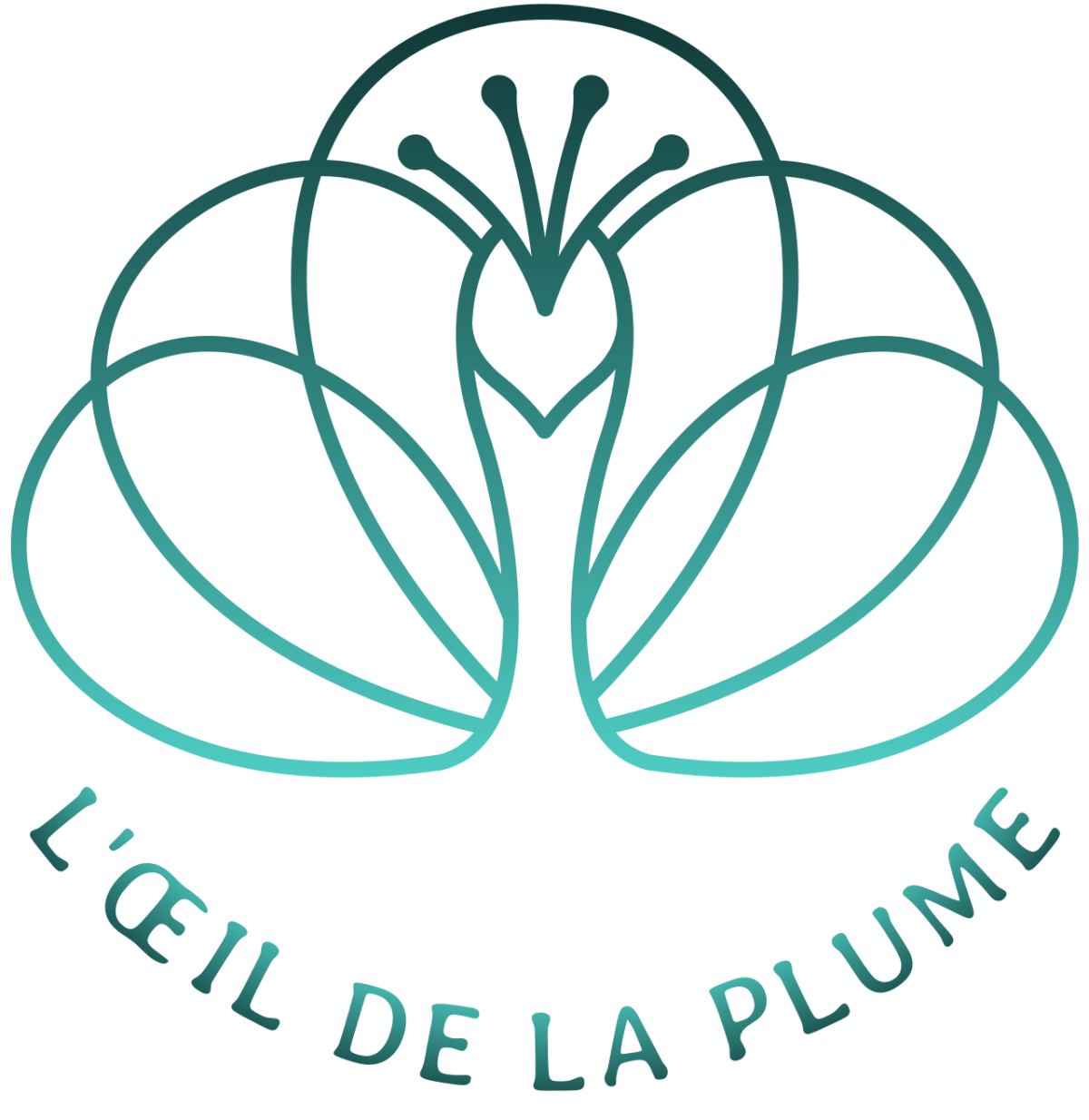 L'œil de la plume